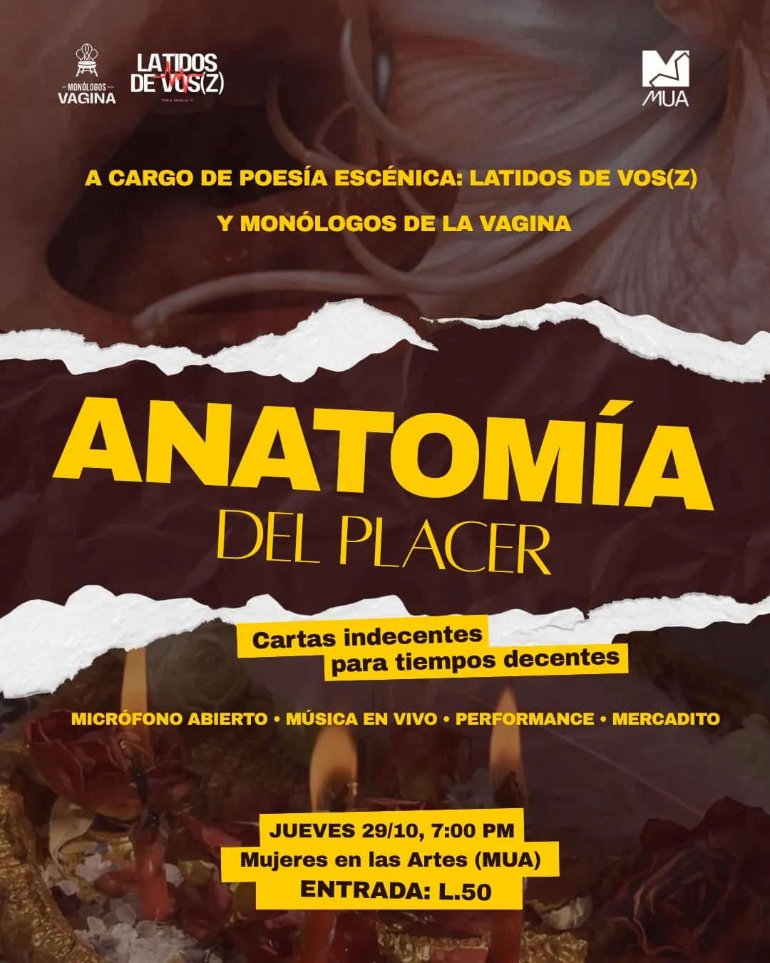 Anatomía del placer
